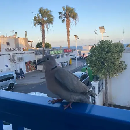 Mi Sueño Vv * Puerto del Carmen (Lanzarote)